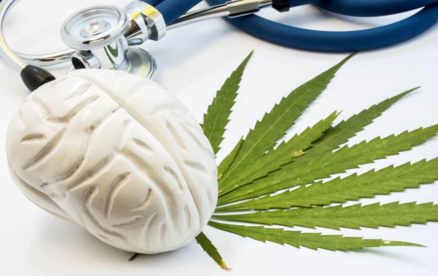 Answers to questions about medical cannabis and mental health