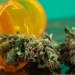 Medical Cannabis